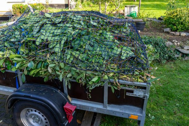 Best Recycling Services for Junk  in Crossville, AL